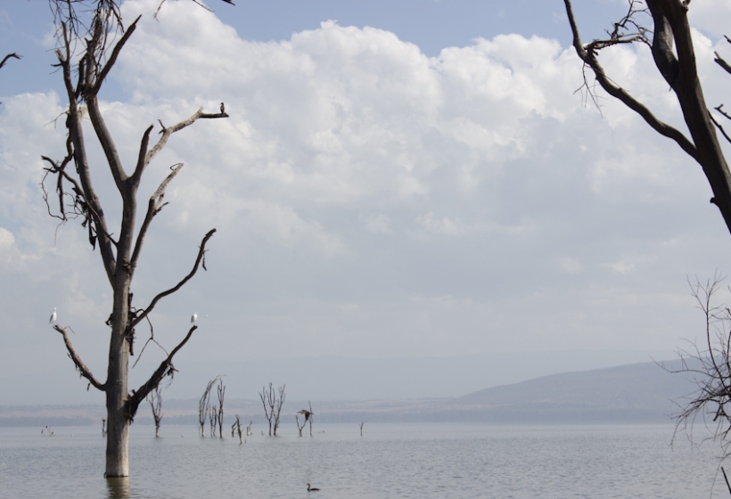 Lake Nakuru, Kenya.