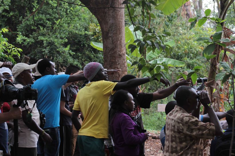 Birders engrossed in the exercise at Nairobi National Museum.